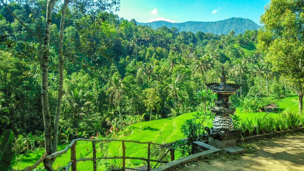 Buda'S Homestay Lemukih بوليلينغْ المظهر الخارجي الصورة