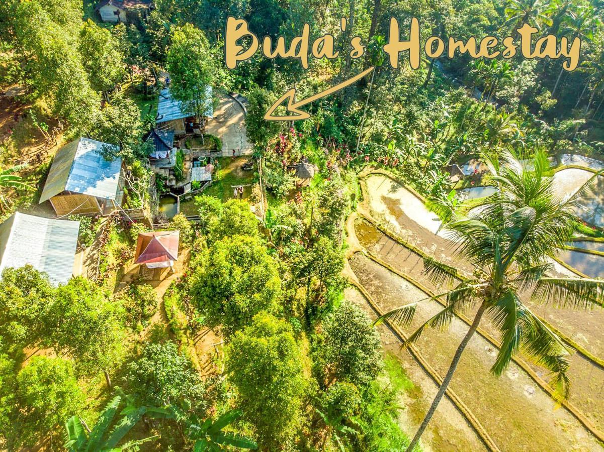 Buda'S Homestay Lemukih بوليلينغْ المظهر الخارجي الصورة
