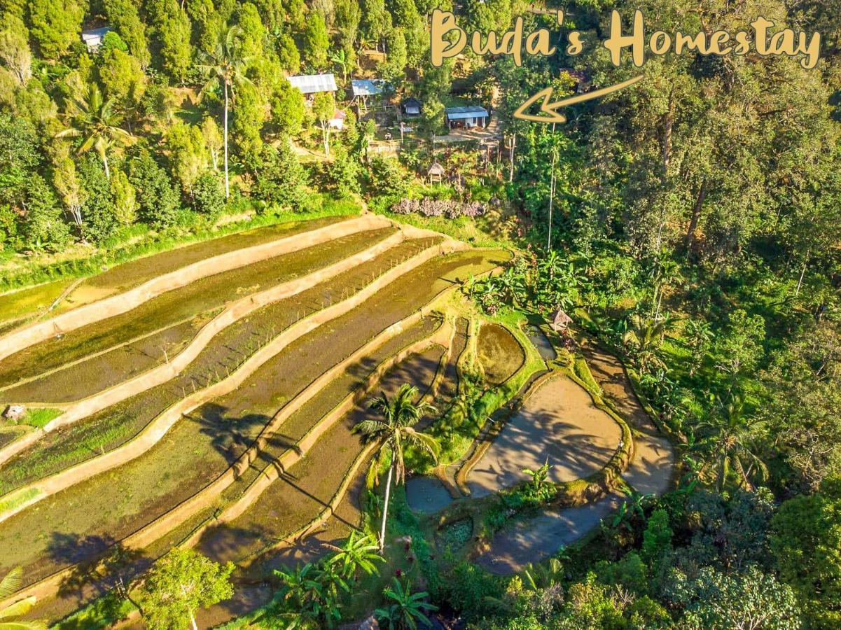 Buda'S Homestay Lemukih بوليلينغْ المظهر الخارجي الصورة