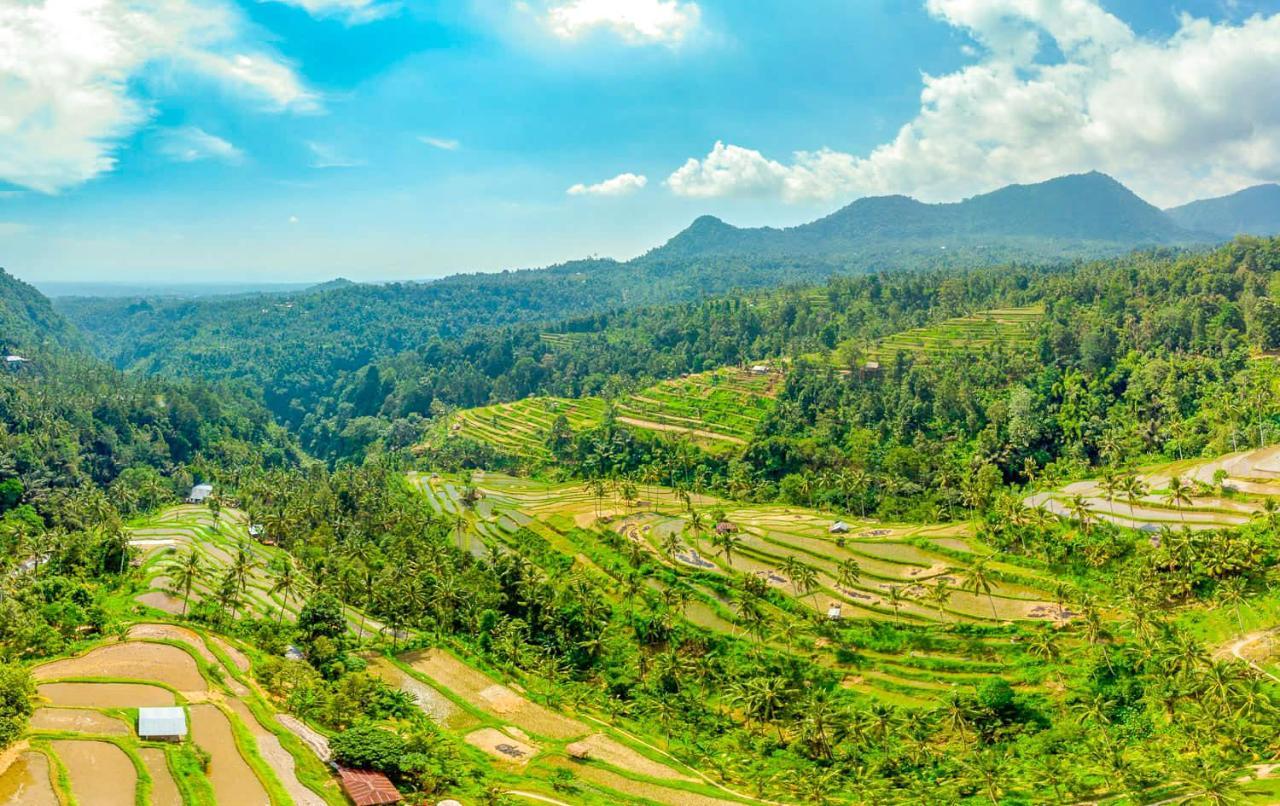 Buda'S Homestay Lemukih بوليلينغْ المظهر الخارجي الصورة