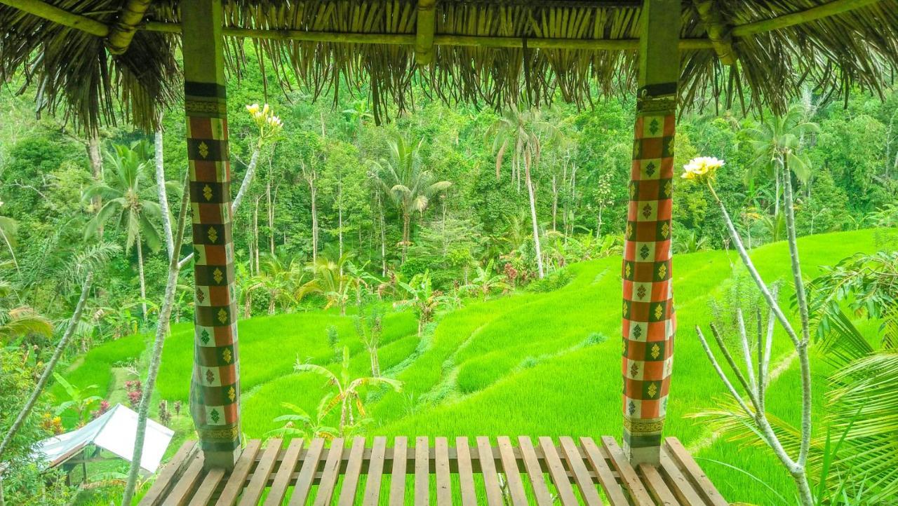 Buda'S Homestay Lemukih بوليلينغْ المظهر الخارجي الصورة