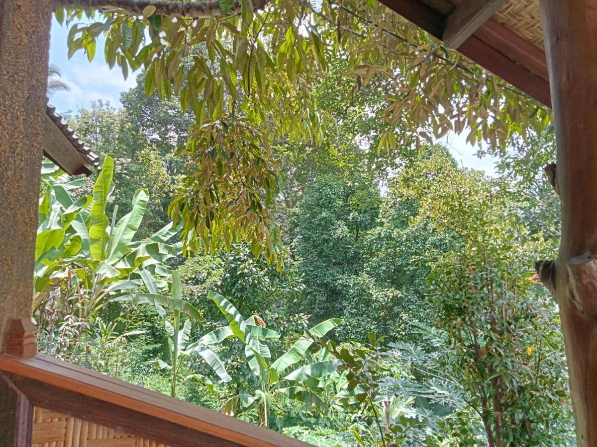 Buda'S Homestay Lemukih بوليلينغْ المظهر الخارجي الصورة