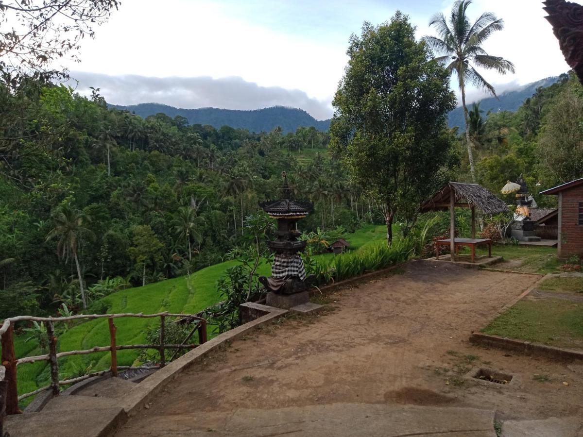 Buda'S Homestay Lemukih بوليلينغْ المظهر الخارجي الصورة