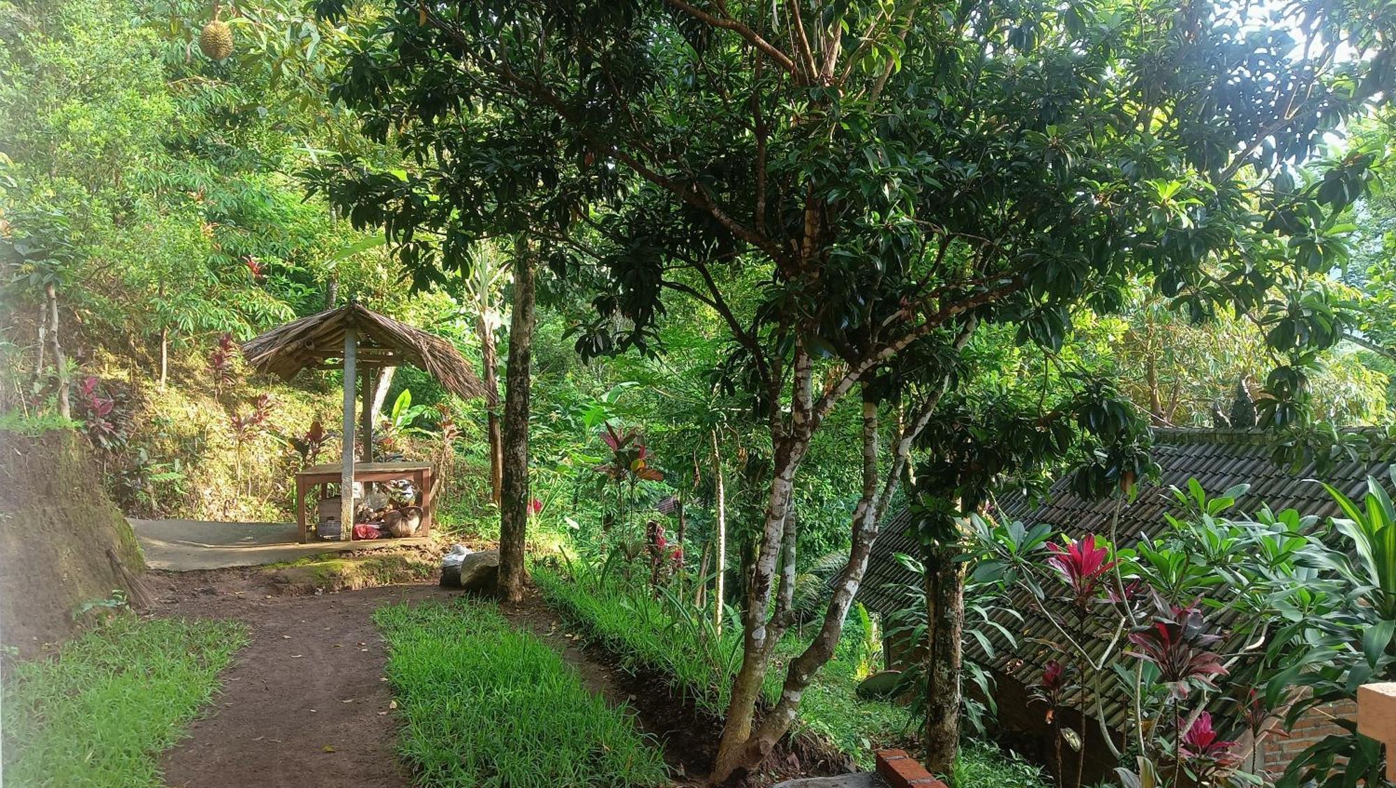 Buda'S Homestay Lemukih بوليلينغْ المظهر الخارجي الصورة